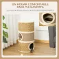 Conjunto para Gatos Conjunto para Gatos