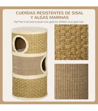 Conjunto para Gatos