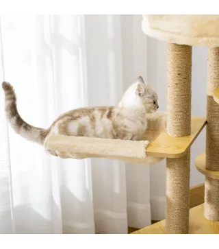 Conjunto para Gatos