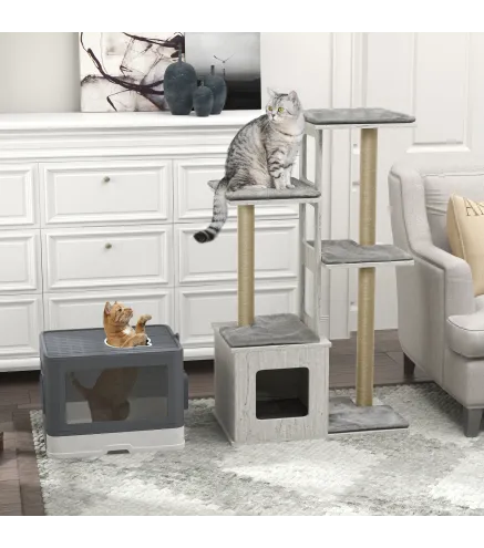 Conjunto para Gatos