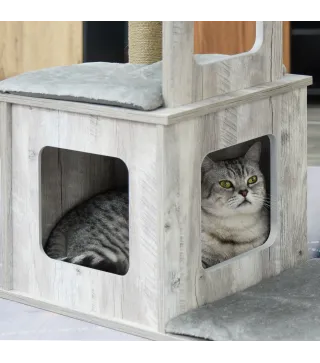 Conjunto para Gatos