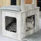Conjunto para Gatos Conjunto para Gatos