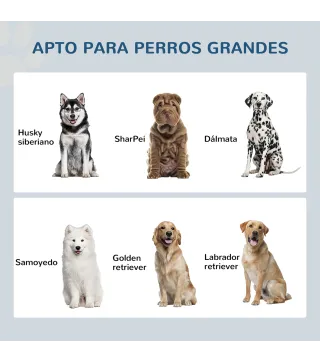 Comedero para Perros