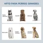 Comedero Elevado para Perros Grandes con 2 Cuencos de 2000ml y Almacenamiento Oculto 60x30x35,5 cm Blanco