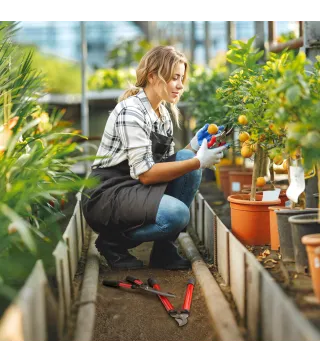 Juego de Herramientas Jardinería de 3 Piezas con Tijeras de Jardín Cortarramas Tijeras de Podar y Mangos de Goma Ligera