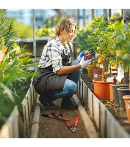 Juego de Herramientas Jardinería de 3 Piezas con Tijeras de Jardín Cortarramas Tijeras de Podar y Mangos de Goma Ligera