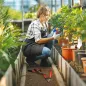 Juego de Herramientas Jardinería de 3 Piezas con Tijeras de Jardín Cortarramas Tijeras de Podar y Mangos de Goma Ligera Juego de Herramientas Jardinería de 3 Piezas con Tijeras de Jardín Cortarramas Tijeras de Podar y Mangos de Goma Ligera