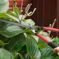 Set Herramientas Jardinería