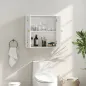 Mueble de Baño Colgar con Estantes 2 Puertas con Diseño de Arco Tiradores Dorados 60x20x60 cm Blanco