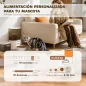 Conjunto Comedero Fuente