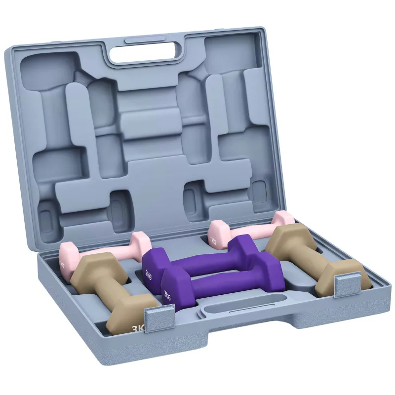 Juego de Mancuernas de 6 Piezas 2 x1 kg 2 x2 kg 2 x3 kg con Estuche de Transporte para Ejercicio en Casa Gimnasio