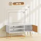 Mueble de TV con 2 Compartimentos Orificio para Cables para Televisión de 55 Pulgadas 110x40x50 cm Blanco y Natural