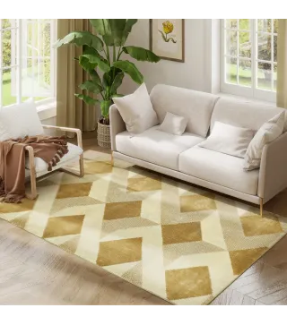 Alfombra de Salón