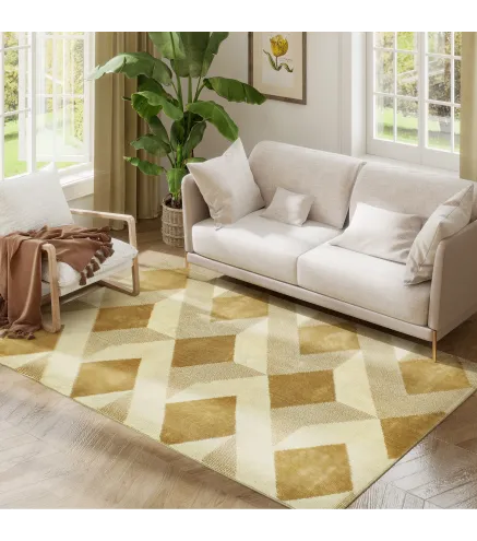 Alfombra de Salón