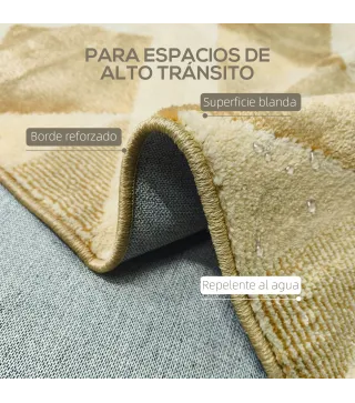 Alfombra de Salón