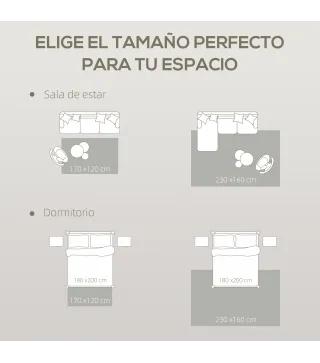 Alfombra de Salón