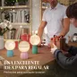 Lámparas de Mesa
