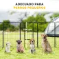 Parque para Perros de 12 Paneles con 2 Puertas Corralito para Perros para Exterior Interior de Acero 80x120 cm Negro