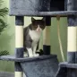 Árbol para Gatos Árbol para Gatos