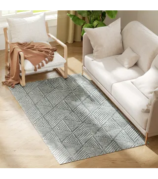 Alfombra de Salón