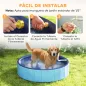 Piscina para Perros