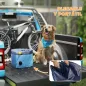 Piscina para Perros