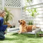 Cama Elevada Perros