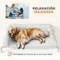Cama Elevada Perros