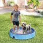 Piscina para Perros Pequeños Plegable con Aspersor de PVC Antideslizante Resistente al Desgaste Ø80x20 cm Azul Claro