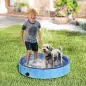 Piscina para Perros Pequeños Plegable con Aspersor de PVC Antideslizante Resistente al Desgaste Ø80x20 cm Azul Claro Piscina para Perros Pequeños Plegable con Aspersor de PVC Antideslizante Resistente al Desgaste Ø80x20 cm Azul Claro