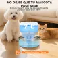 Fuente para Gatos de Acero Inoxidable 7L Fuente de Agua para Mascotas Silencioso Automático con Sistema de Filtros