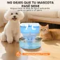 Fuente para Gatos de Acero Inoxidable 7L Fuente de Agua para Mascotas Silencioso Automático con Sistema de Filtros Fuente para Gatos de Acero Inoxidable 7L Fuente de Agua para Mascotas Silencioso Automático con Sistema de Filtros