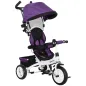 Triciclo Evolutivo para Niños +12 Meses con Toldo Plegable Mango de Empuje Telescópico y Cinturón de Seguridad Violeta