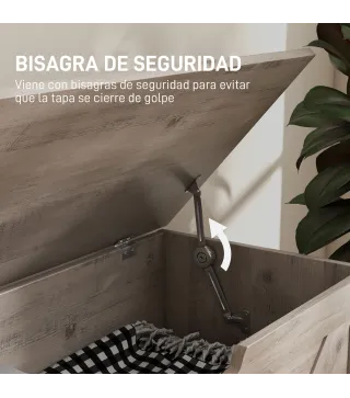 Baúl de Almacenaje