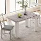 Mesa de Comedor para 4-6 Personas Rectangular de Melamina de Madera y Estilo Moderno 120x69x75 cm Gris y Blanco