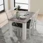 Mesa de Comedor para 4-6 Personas Rectangular de Melamina de Madera y Estilo Moderno 120x69x75 cm Gris y Blanco