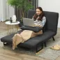 Sofá Cama Convertible 4 en 1 Sillón Cama 2 Plazas Plegable Respaldo Ajustable de 5 Niveles Almohadas 102x73x81cm Gris
