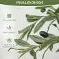 Olivos Artificiales