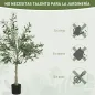 Olivos Artificiales