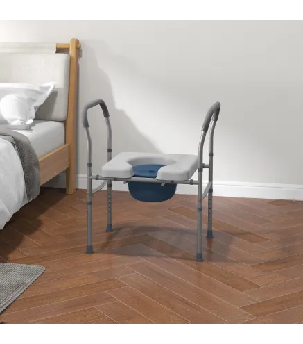 Silla con Inodoro