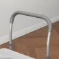 Silla con Inodoro
