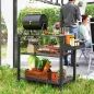Carrito de Parrilla