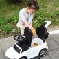 Cochecito de Niños