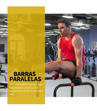 Barras Paralelas