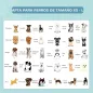 Piscina para Mascotas