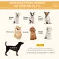 Parque de Juegos para Mascotas
