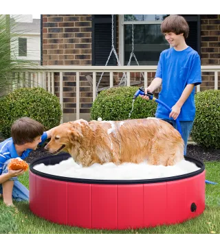 Piscina para Mascotas