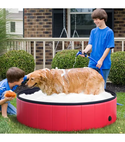 Piscina para Mascotas