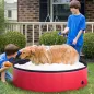 Piscina para Mascotas