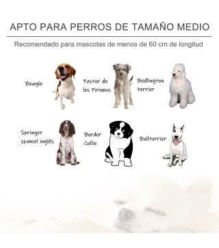 Sofá para Mascotas